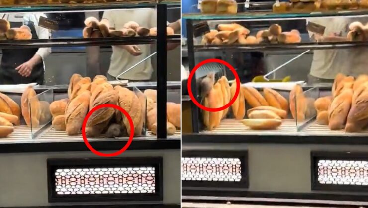 Fırında çekilen bu görüntüyü paylaşmaması için 420 bin lira teklif edildi