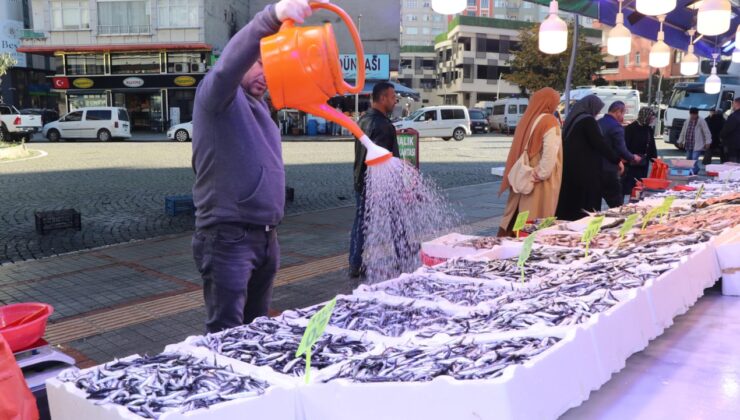 Hamsiyi kasa kasa almaya başladılar: Çok ucuzladı