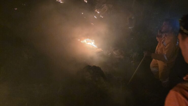 Hatay'da ormanlık alanda yangın