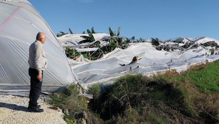 Hortum seralara büyük hasar verdi