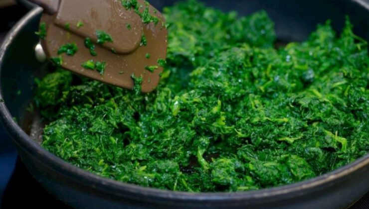 Ispanak sanıp yediler, tek tek fenalaştılar: 11 kişi hastanelik oldu