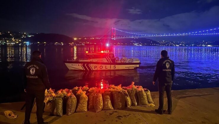 İstanbul Boğazı’nda kaçakçılara operasyon! 2.3 ton canlı midye denize geri bırakıldı