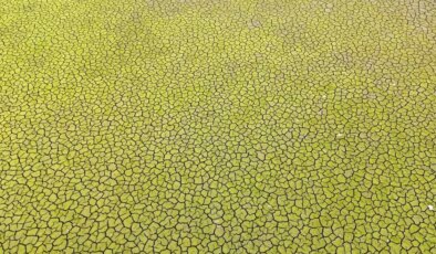 İstanbul için kıyamet senaryosu: Bu şekilde yaza girersek felaket olur