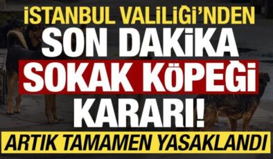 İstanbul Valiliği’nden son dakika ‘sokak köpeği’ kararı! Artık yasaklandı…