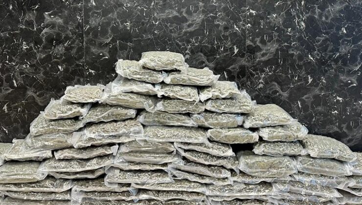 İstanbul'da 71 kilo 400 gram skunk ele geçirildi: 1 kişi tutuklandı