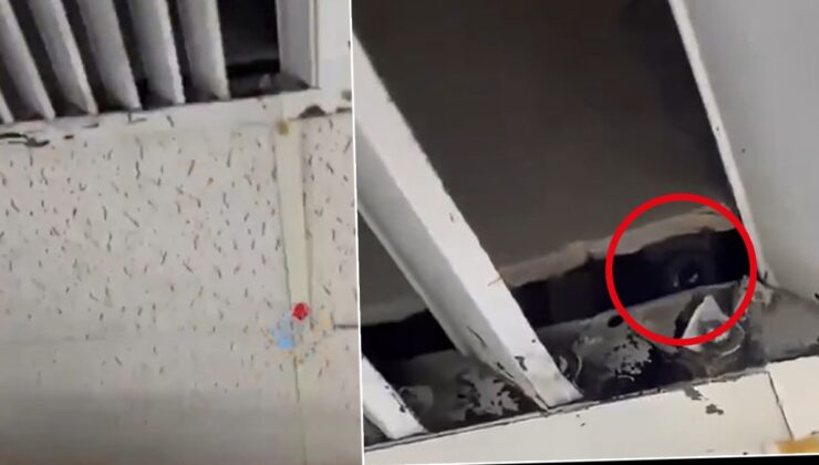 İstanbul'da düğün salonunda gizli kamera skandalı: Kadın çalışanlar buldu