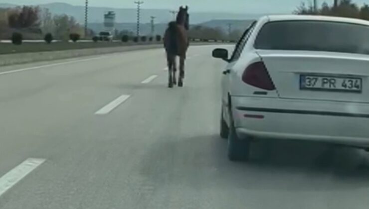 Kastamonu’da başıboş at trafiği birbirine kattı