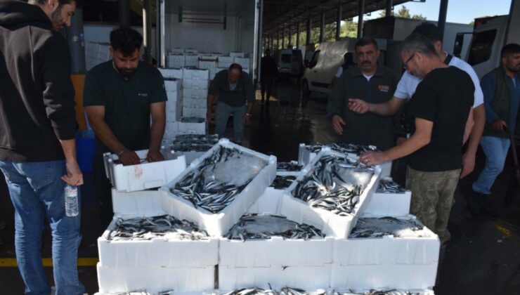 Kilosu 50 liraya kadar düştü: Haberi alan tezgaha koştu