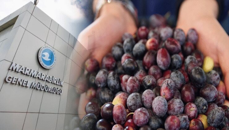 Marmarabirlik, ortaklarına 761 milyon lira ödeme yapacak