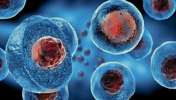 Milyonda bir gerçekleşen mucize Şırnak'tan çıktı