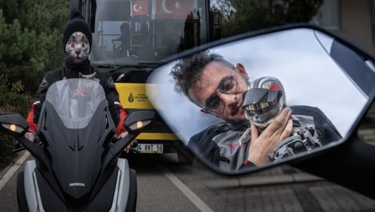 Motorcu kedi 'Gofret' İstanbul turunda ilgi odağı oldu!