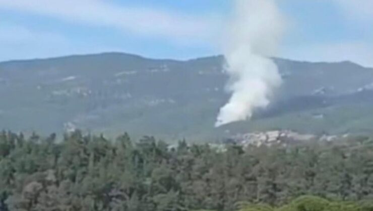 Muğla’da orman yangını korkuttu