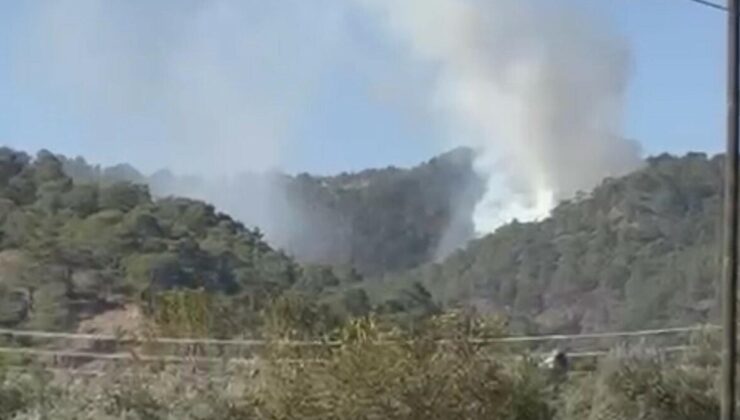 Muğla'da orman yangını: Vatandaşlar fark edip ekiplere haber verdi