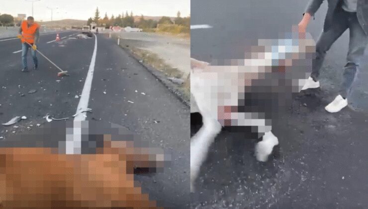 Nevşehir’de otomobilin çarptığı 2 at öldü