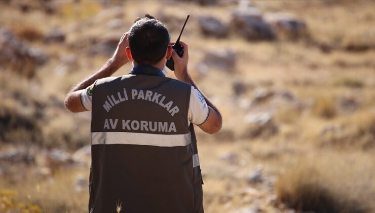 Petshoplara “yaban hayvanı” uyarısı: Satış için ruhsat şart