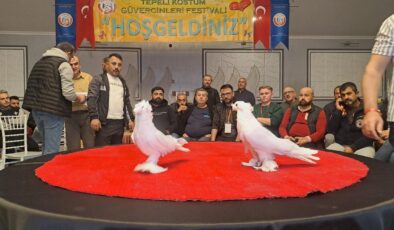 Sakarya’da ‘6. Tepeli Kostüm Güvercinleri Festivali’ düzenlendi