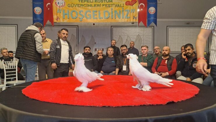 Sakarya’da ‘6. Tepeli Kostüm Güvercinleri Festivali’ düzenlendi