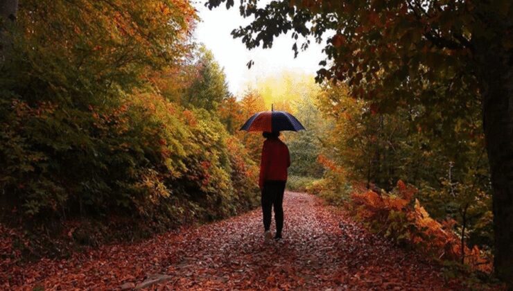 Samsun'daki Nebiyan Dağı sonbahar renklerine büründü