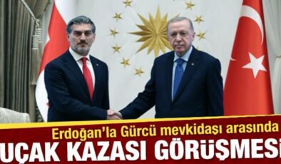 SON DAKİKA: Cumhurbaşkanı Erdoğan, Gürcistan Cumhurbaşkanı ile görüştü