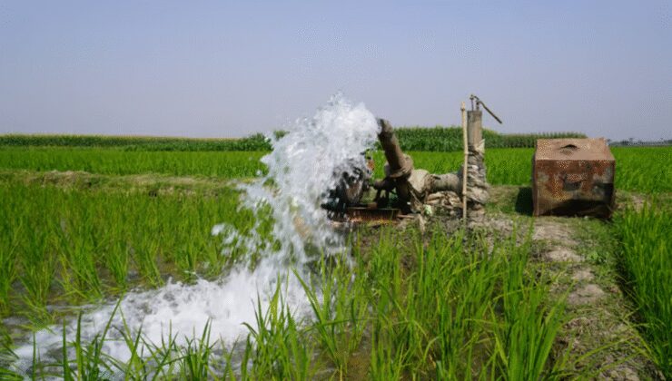 Sulama yöntemi değişti, hasadı rekor kırdı