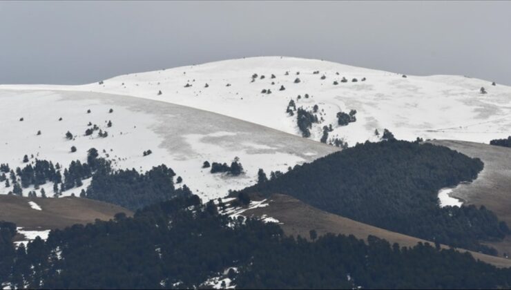 Tunceli'de yüksek kesimlere kar yağdı