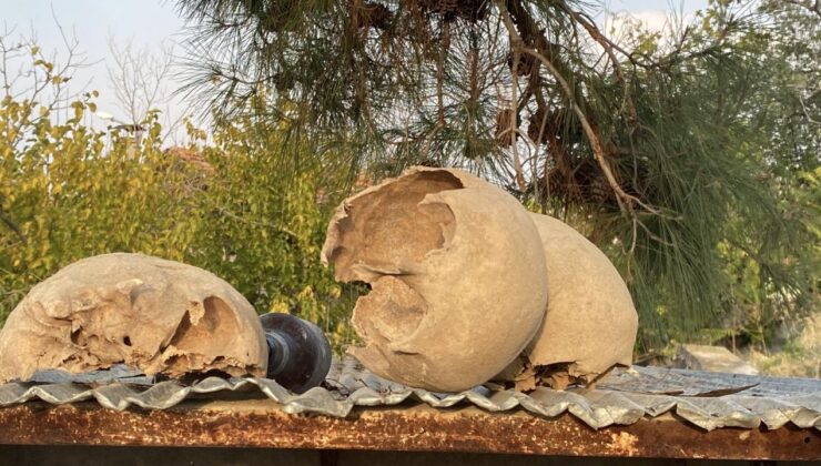 Tüyler ürperten olay! Gerçek ortaya çıktı