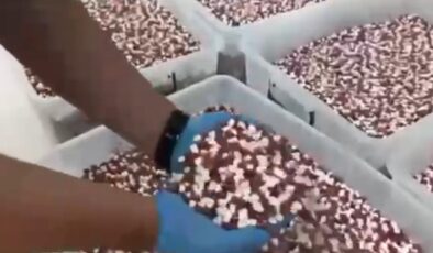 Uyuşturucu imalathanesine operasyonda 1,8 milyon sentetik ecza hap ele geçirildi