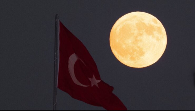 'Kunduz ayı' Türkiye'yi büyüledi