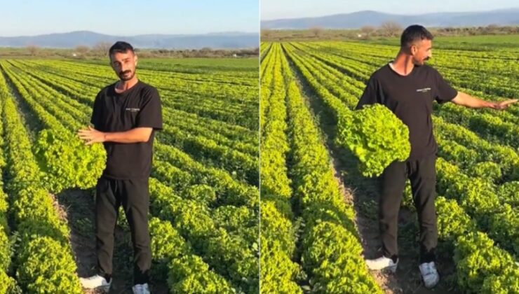 'Satarsam şerefsizim' dedi, isyanı pahalıya patladı