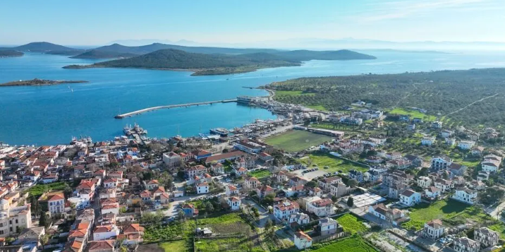 Yapay zeka Adana’dan özür diledi