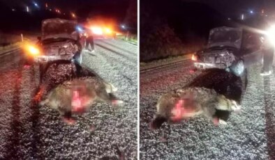 Yola aniden çıktı, kazaya neden oldu