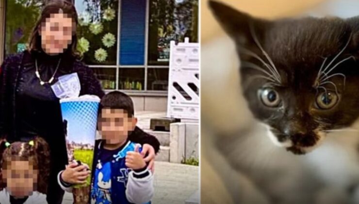 Zehirlenen böcek ailesinden geriye sadece o kalmıştı, o da isimsiz kaldı