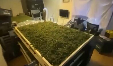 65 ilde uyuşturucu operasyonu: Bakan Yerlikaya paylaştı! 768 gözaltı