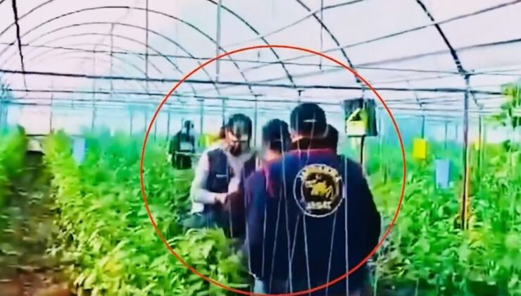 7 yıl önce cinayet işlemişti, serada yakalandı