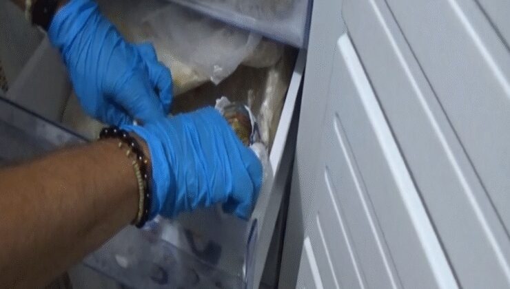 85 bin avro dolandırdılar: Paralar derin dondurucudan çıktı