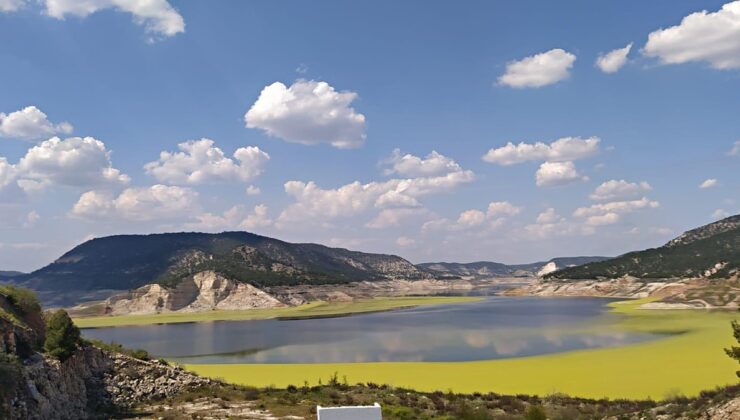 Adıgüzel can çekişiyor! Göl yüzeyi yeşil alglerle kaplandı