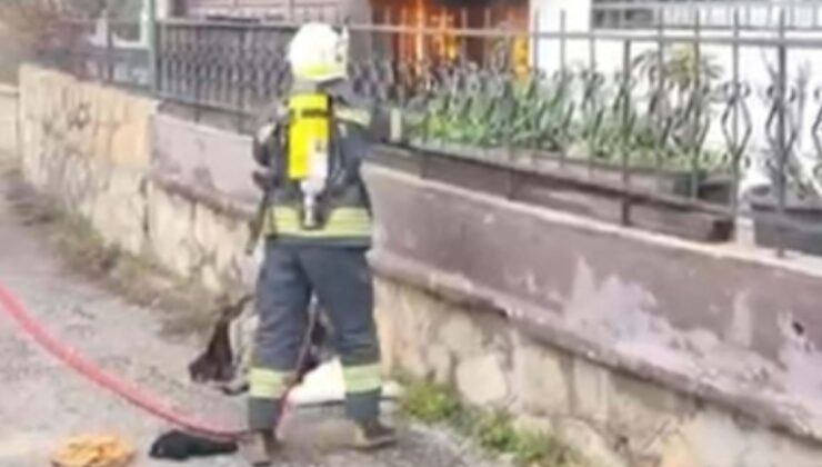 Ailesiyle tartışıp, birlikte yaşadıkları evi ateşe verdi