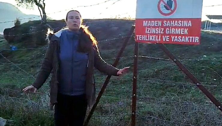 Akbelen’de muhtarın isyanı: 'Zeytin katliamına yeniden başlandı'