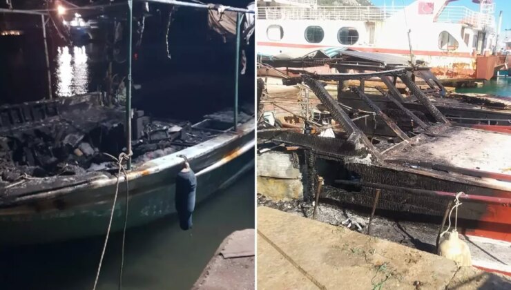 Antalya’da neler oluyor? Kayyum tartışması yaşanan barınakta çıkan yangın sonrası iddialar daha da büyüdü