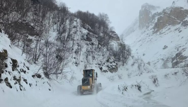 Artvin’de çığ düştü: 3 çoban çığ altında kaldı