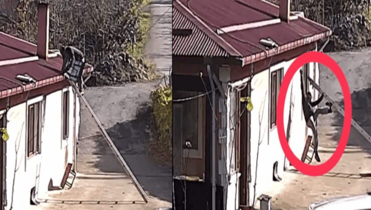 Baca şapkasını değiştirmek için çıktığı çatıdan düştü