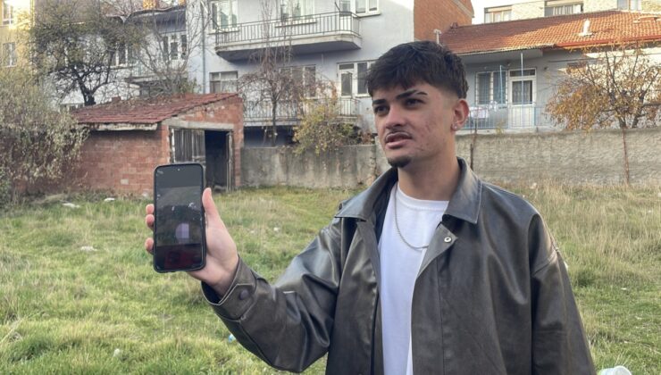 Boş arazide şiddete uğradıkları değerlendirilen 8 kedi ölüsü bulundu