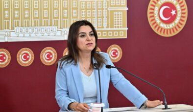 DEM’li Koçyiğit: ‘Silahların susması bir sonuç değil, başlangıçtır’