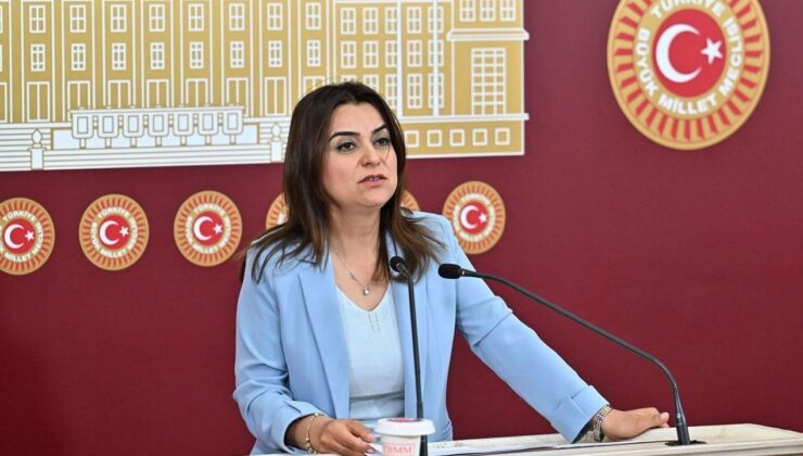 DEM’li Koçyiğit: ‘Silahların susması bir sonuç değil, başlangıçtır’