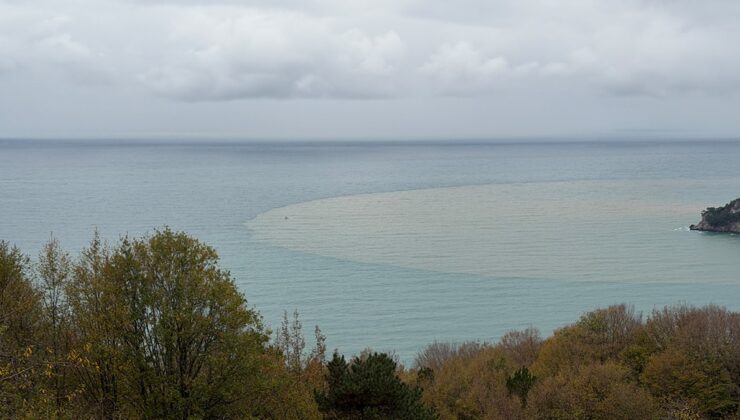 Denizin rengi kahverengiye döndü