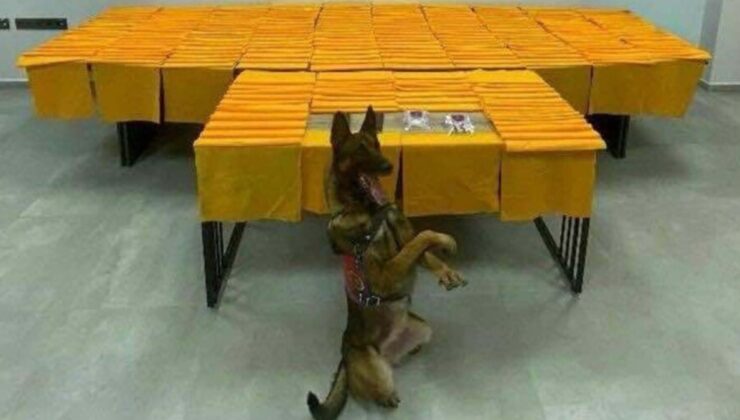 Denizli'de peş peşe uyuşturucu operasyonları: 3 tutuklama