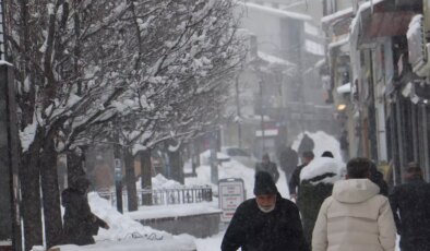 Doğu buz kesti; 2 ilçe eksi 25 dereceyi gördü