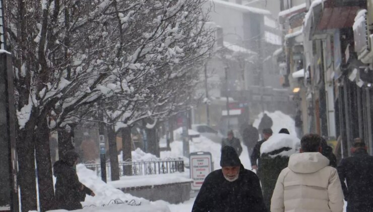 Doğu buz kesti; 2 ilçe eksi 25 dereceyi gördü