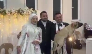 Düğün hediyesi olarak 100 bin liralık köpek hediye etti