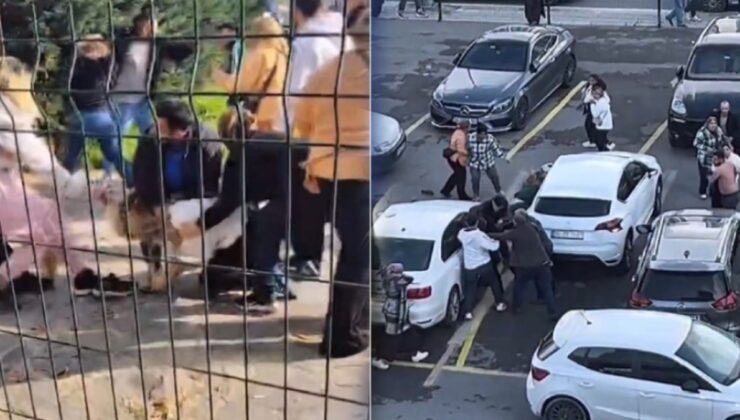 Duruşmadan çıktılar, birbirlerini linç ettiler! Müdahale eden kimse olmadı!